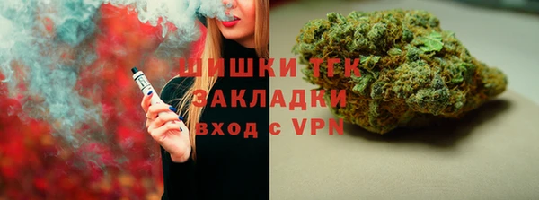 ешки Бородино