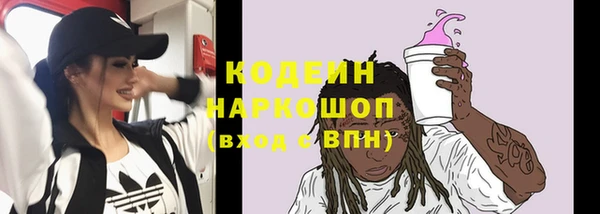 ешки Бородино
