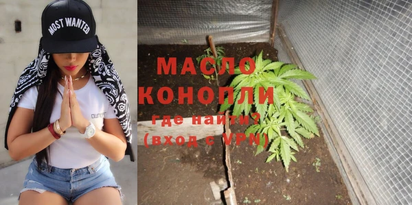 ешки Бородино