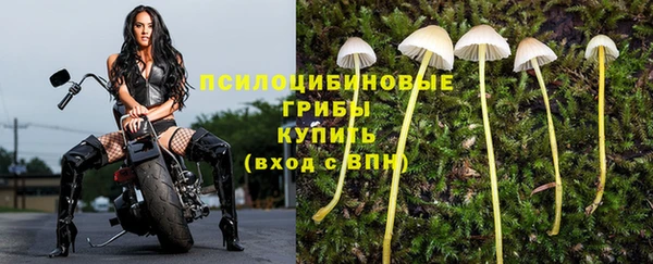 синтетический гашиш Бугульма