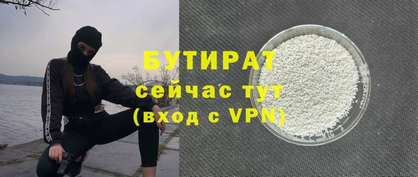ешки Бородино