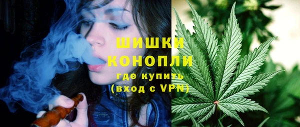 ешки Бородино