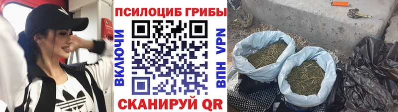 купить закладку  blacksprut зеркало  Псилоцибиновые грибы ЛСД  Монино 